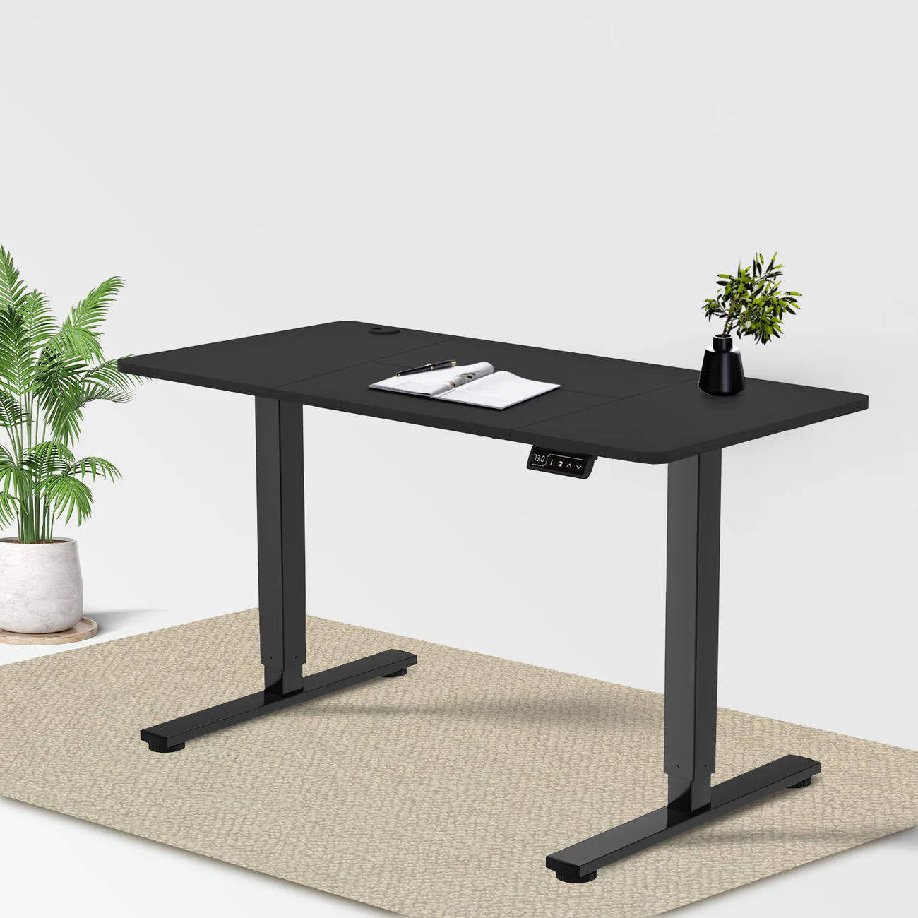 Economy Elektrisch Höhenverstellbarer Schreibtisch 200 x 80 cm (Kopie)