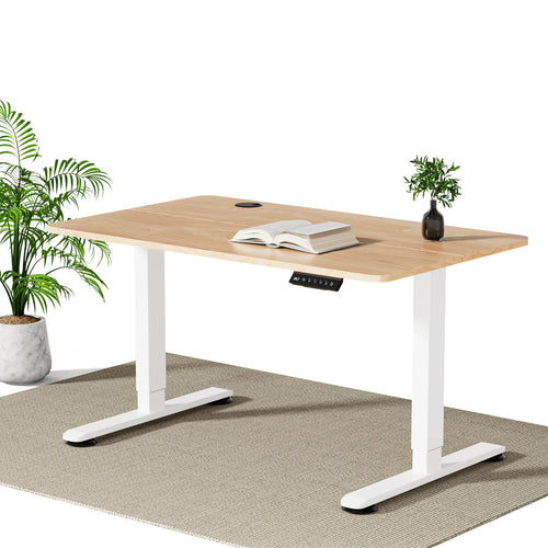 Economy Elektrisch Höhenverstellbarer Schreibtisch 100 x 60 cm